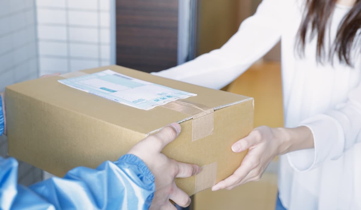 Tempi di consegna e relazione con i costi di spedizione Temu